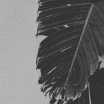 Design sans titre (39)